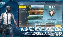 吃鸡载具新皮肤爆料最新,吃鸡战场再添亮丽色彩