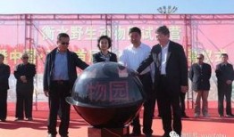 武邑近期爆料新闻报道,揭秘近期热点事件背后的真相